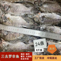 三去罗非鱼新鲜加工片冻8斤24条装水产冻品供应商用批发