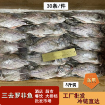 新鲜三去罗非鱼8斤30条装大排档酒店餐饮烤鱼店批发