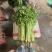 精品香芹对接电商市场商超可视频看货一手货源