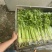 精品香芹对接电商市场商超可视频看货一手货源