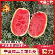 宁夏金城五号西瓜硒砂瓜金花系列品种齐全品质好石头瓜保熟