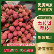 玉荷包荔枝广东荔枝大量现货供应，规格齐全，价格可谈发全国