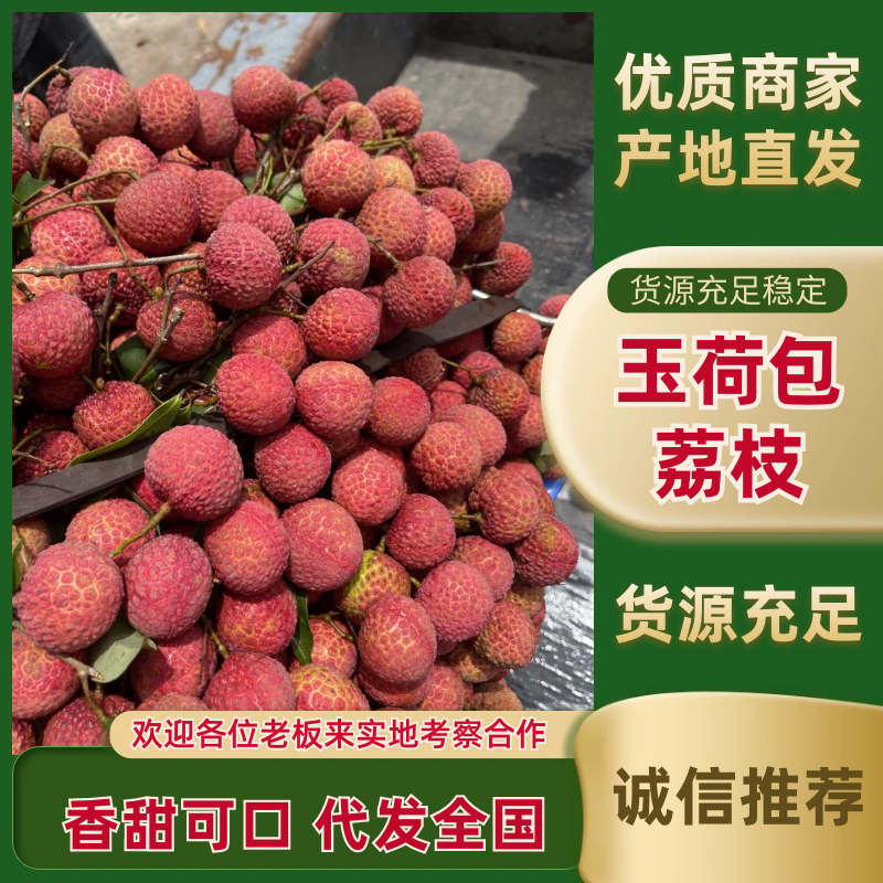 玉荷包荔枝广东荔枝大量现货供应，规格齐全，价格可谈发全国