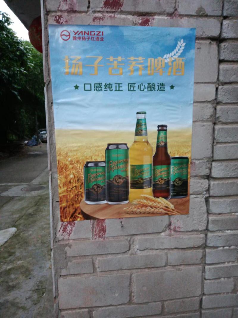 扬子苦荞啤酒，玛咖啤酒，一手货源，量大优惠，欢迎合作