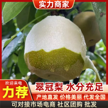 翠冠梨湖北翠冠梨皮薄多汁基地直供品质保证欢迎咨询