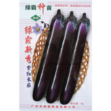 绿霸新秀紫红长茄种子果条顺直美观头尾均匀高产深紫红色茄子