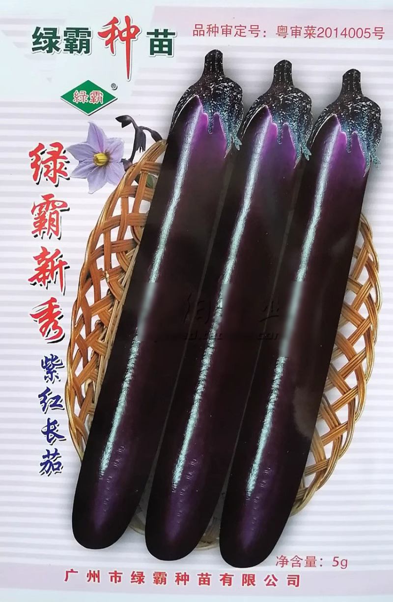 绿霸新秀紫红长茄种子果条顺直美观头尾均匀高产深紫红色茄子