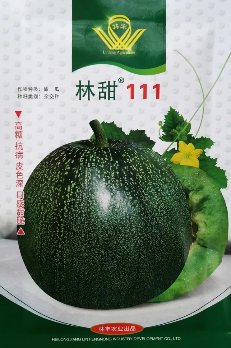 林丰杂交绿肉甜瓜林甜高糖抗病皮色深绿甜瓜种子籽早熟甜脆绿