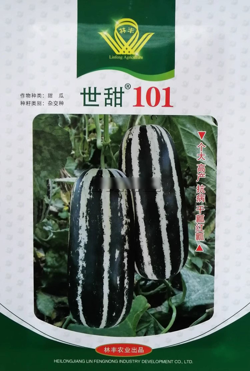 林丰甜瓜种子世甜博洋甜瓜种子香甜酥脆糖度高红瓤绿肉早熟