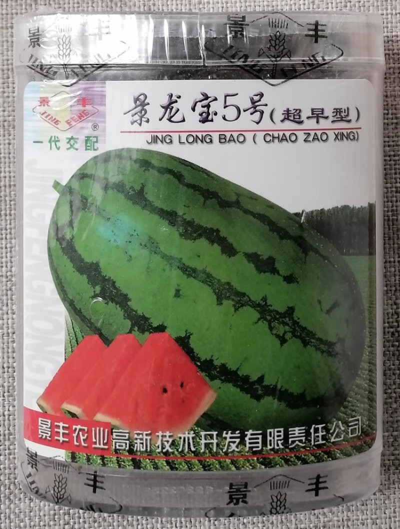 景丰景龙宝西瓜种子果型美观椭圆甜美多汁抗病高产绿龙西瓜种