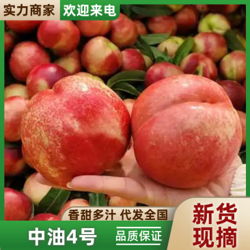 中油4号黄肉油桃产地直发口感甜品质好量大优惠