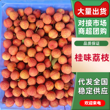 桂味荔枝广东荔枝产地一手货源，价格可谈量大从优可视频看货