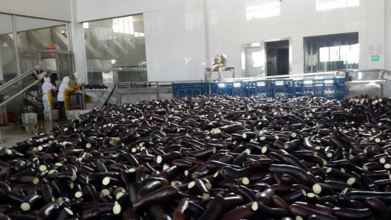 茄子干茄子丝茄子片规格齐全价格美丽可视频看货