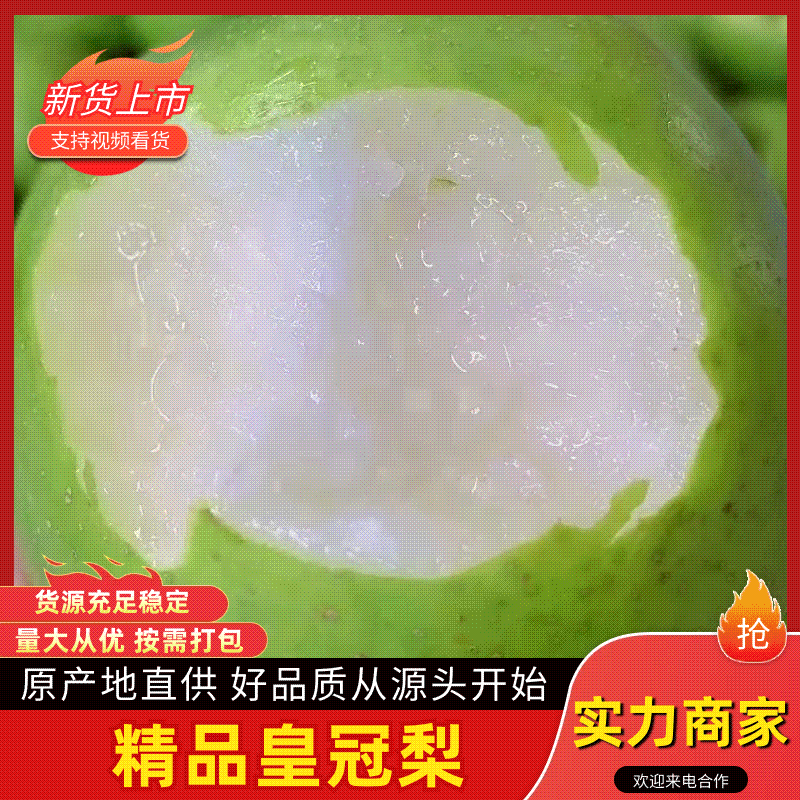 皇冠梨光果，皮薄肉细。支持商超市场，保质保量代发全国