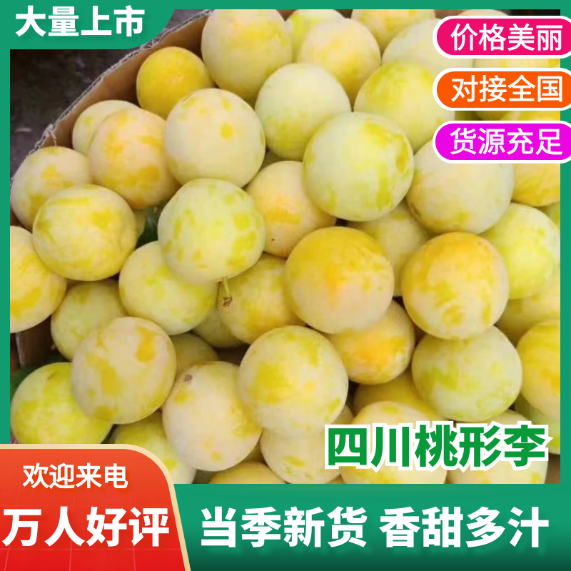 四川桃花李精品李子，产地直发，规格齐全，可视频看货欢迎电联