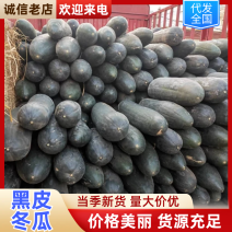 河南南阳黑皮西瓜吊东瓜品质好产地直发大量上市对接市场
