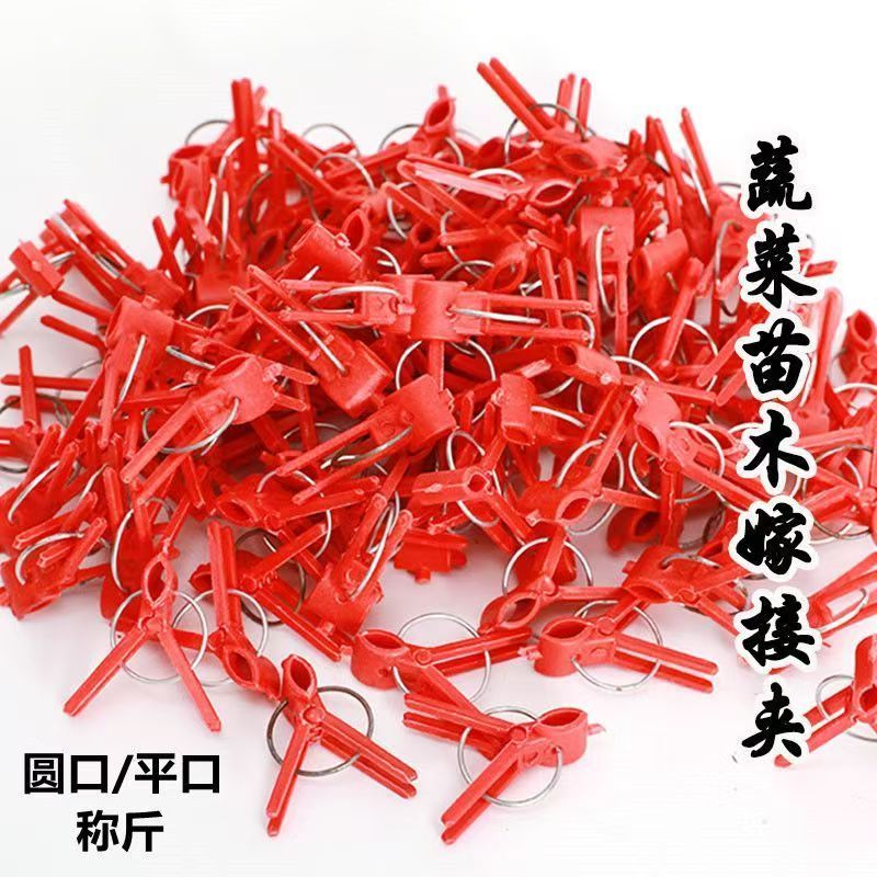 嫁接夹子西瓜茄子黄瓜蟹爪兰嫁接专用嫁接夹子平口圆口蔬菜