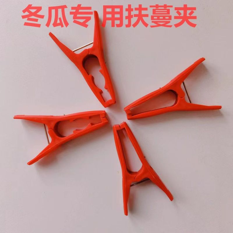 冬瓜夹子藤曼夹苦瓜夹丝瓜罗汉果夹黄瓜绑枝扶蔓夹固定防风夹