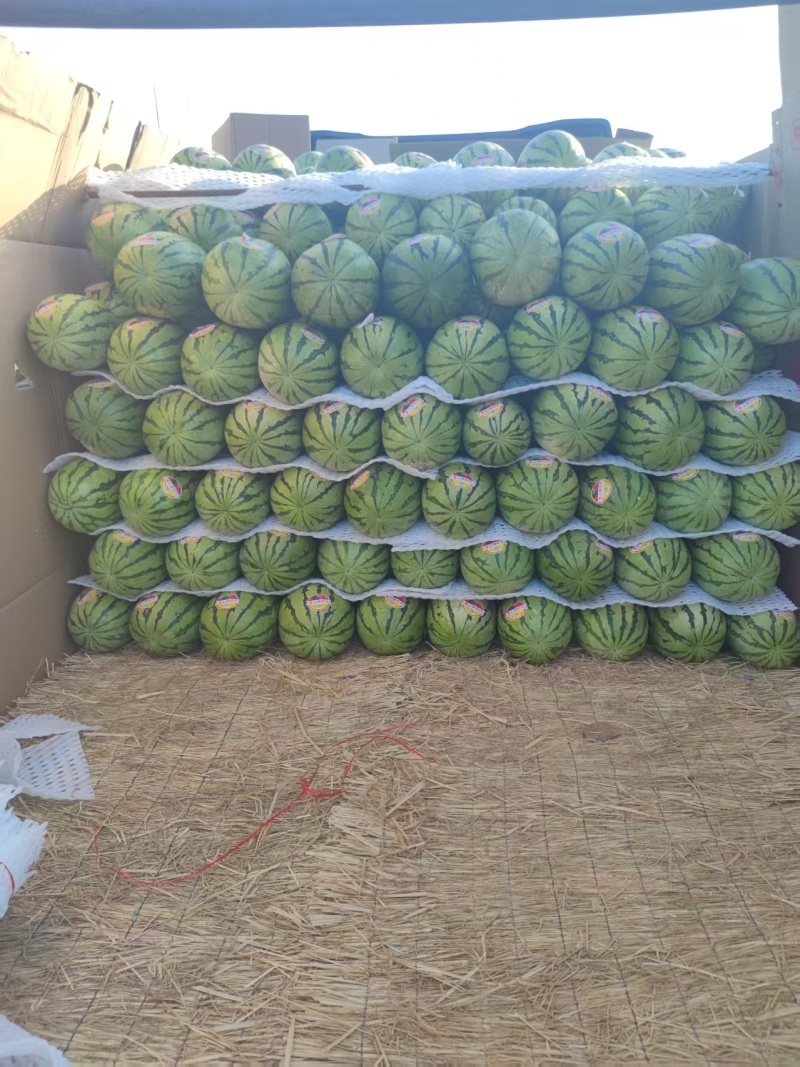 宁夏硒砂瓜精品直供产地直发一手货源可视频看货