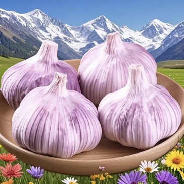 重庆批发大蒜