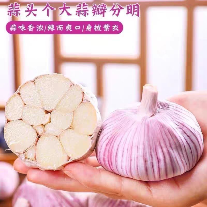 重庆批发大蒜