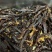 清真【原味牛肉干】呼伦贝尔天然黄膘牛风干牛肉干