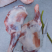 清真【羔羊前腿】新鲜杀速冻呼伦贝尔天然草羊
