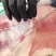 清真【羔羊精排】不带脊骨不带楠新鲜杀呼伦贝尔天然草羊