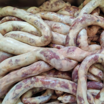 肉肠，羊肉肠，新鲜羔羊肉肉肠，**好吃，欢迎咨询订货