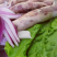 肉肠，羊肉肠，新鲜羔羊肉肉肠，**好吃，欢迎咨询订货