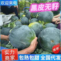 【黑皮无籽西瓜】湖北宜昌产地直发质量保证一手货源全国发货