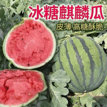 《麒麟西瓜》西瓜现货供应包熟包甜价格便宜全国代发