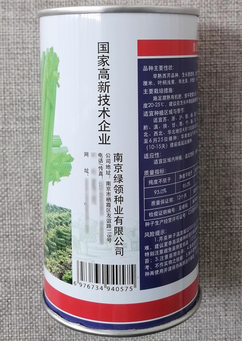 绿领皇后西芹种子早熟西芹品种叶柄浅黄有光泽高产芹菜