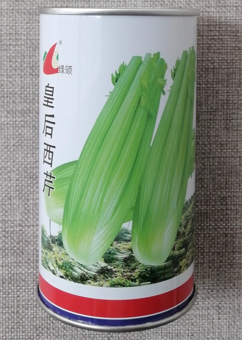 绿领皇后西芹种子早熟西芹品种叶柄浅黄有光泽高产芹菜