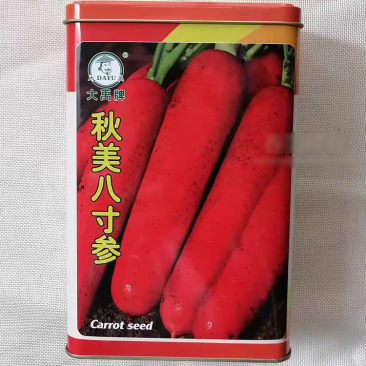 大禹秋美八寸参三红胡萝卜种子口感脆甜商品性好秋季红萝种
