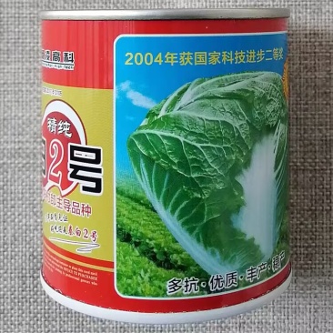 杨凌高科秦白2号二号大白菜种子高产白菜籽耐储藏运输