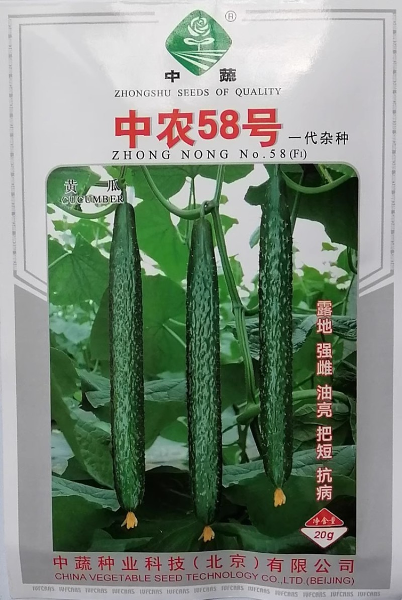中农48/58号黄瓜种子农科院优质黄瓜口感脆甜高产