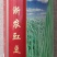 浙农豇豆种子锦绣江南浙江农科院蔬菜所育成铁翼雄鹰豆