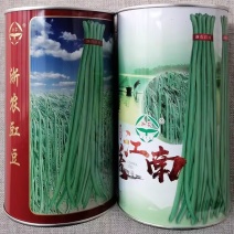 浙农豇豆种子锦绣江南浙江农科院蔬菜所育成铁翼雄鹰豆