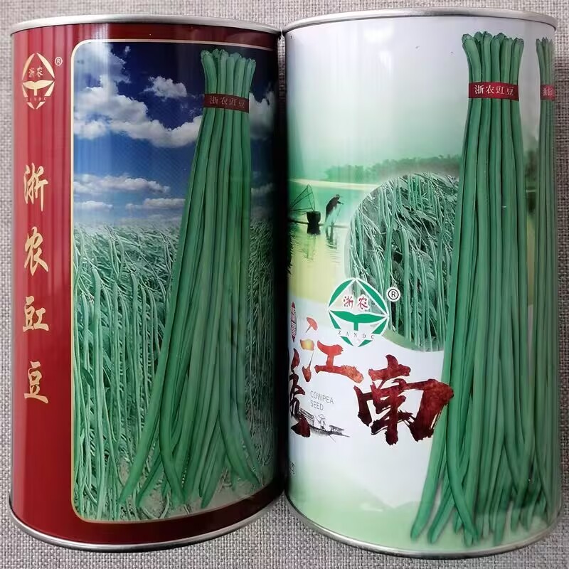 浙农豇豆种子锦绣江南浙江农科院蔬菜所育成铁翼雄鹰豆