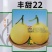 丰乐丰甜七号丰甜22早熟甜瓜种子汁多味甜香味浓郁圆果香瓜