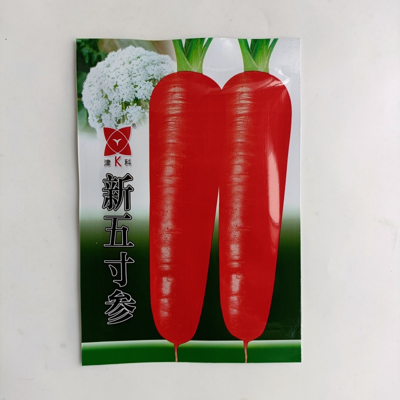 【君川种业】改良新黑田胡萝卜种子种籽杂交胡萝卜籽皮红甜脆