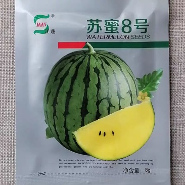 苏蜜8号黄瓤西瓜种子小果型黄肉西瓜种籽甜度高肉质酥嫩黄心