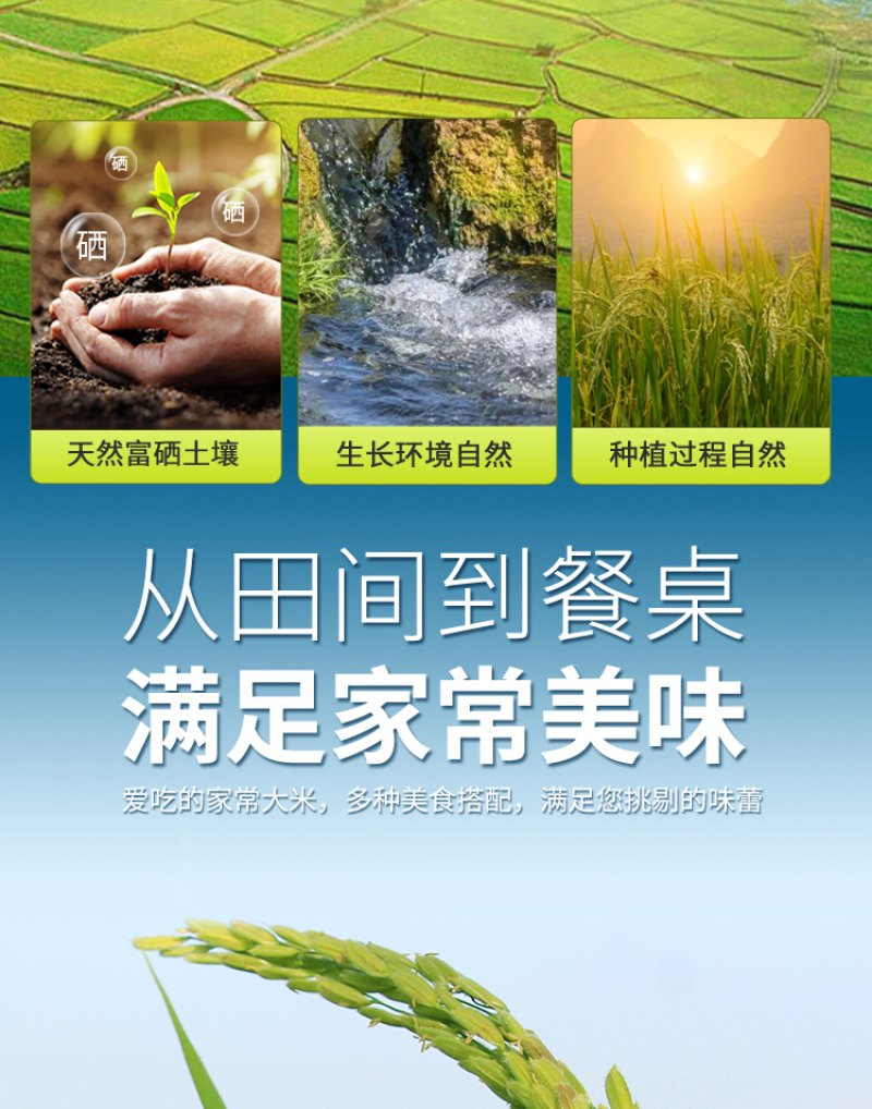 【和万安】甄选江西大米10斤装