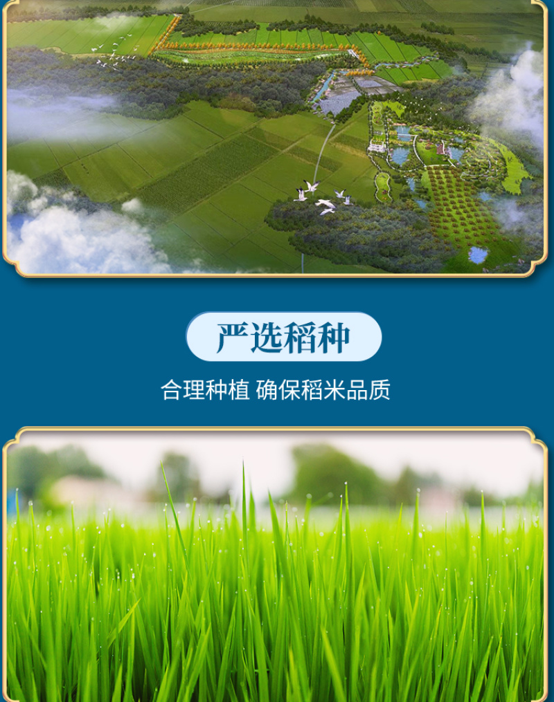 【和万安】甄选江西大米10斤装