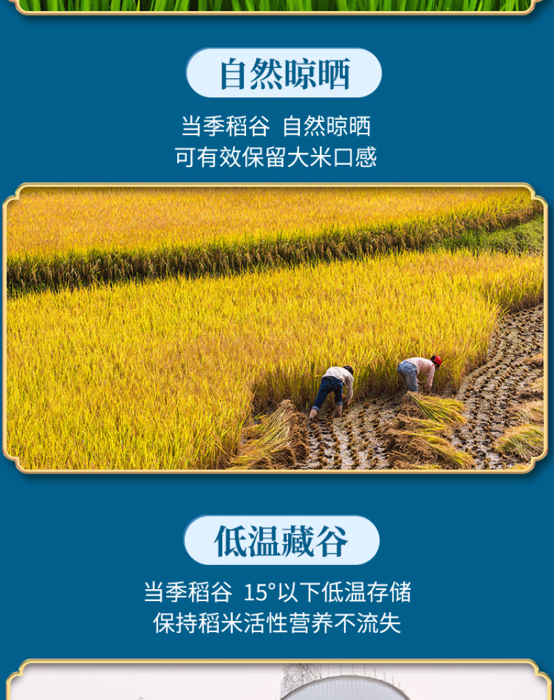 【和万安】甄选江西大米10斤装