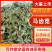 马齿苋野生马齿苋现挖现卖日供50吨货源充足