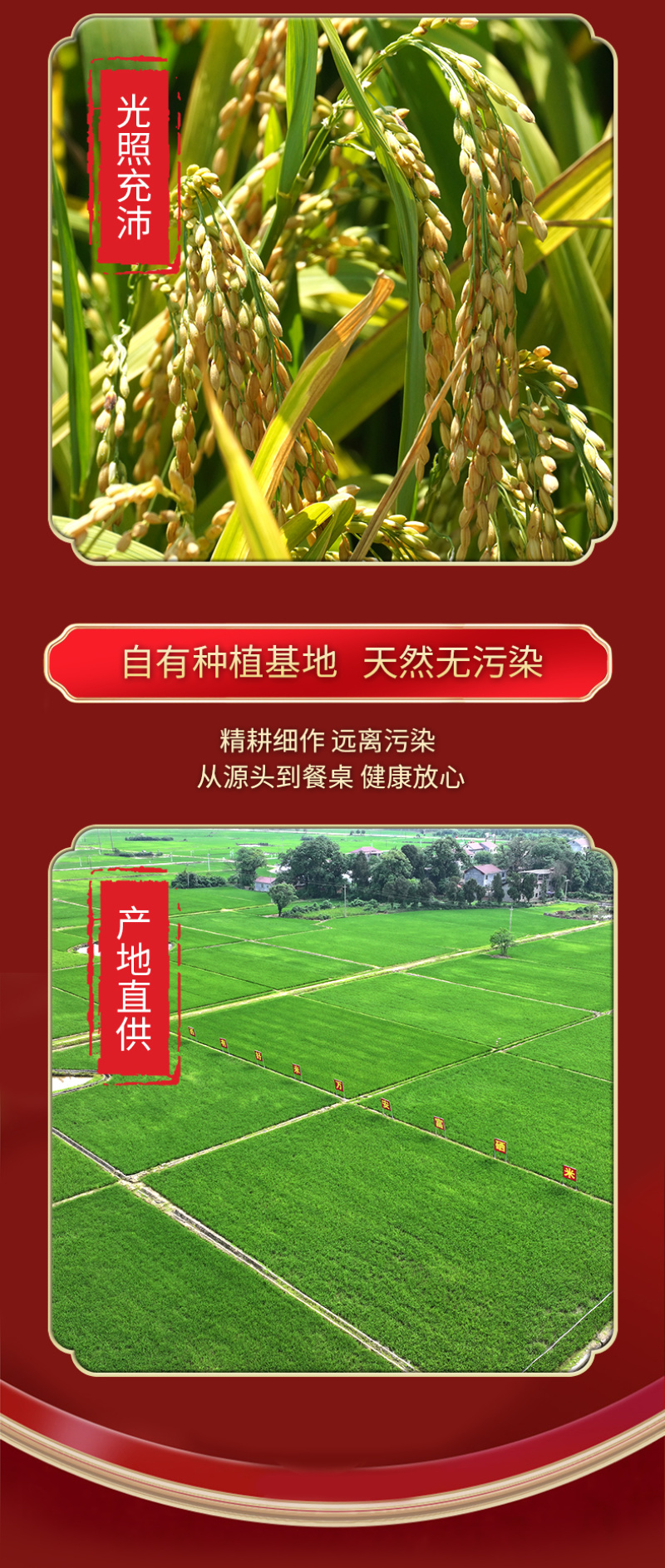 【和万安】井冈山大米10斤装