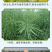 和万安浓香土榨菜籽油5L