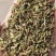 甘肃一手货源小茴香新鲜上市价格美丽质量**欢迎采购热卖中